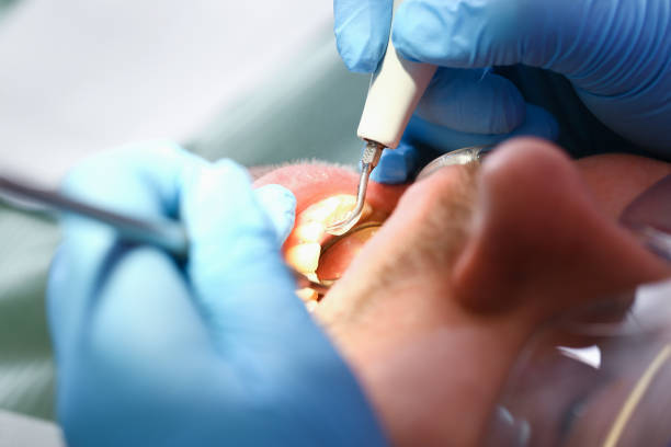 Best Affordable Emergency Dental Care  in Steele Creek, AK