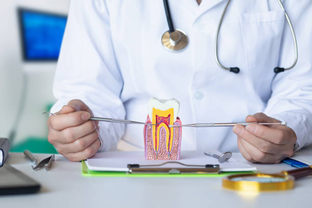 Best Urgent Tooth Repair  in Steele Creek, AK